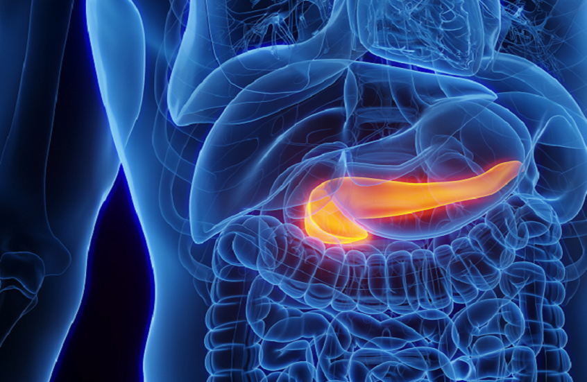اكتشاف جينات جديدة يمهّد الطريق للتنبؤ المبكر بسرطان البنكرياس